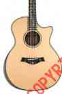 Ps14ce Macassar Warranty Factory Ebony Lifetime Sides Taylor