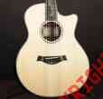 Ps16cebr Brazilian Acoustic Electric Taylor Series Sitka Rosewood Presentation