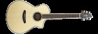 Pscn01ceesse Breedlove Guitars New Pursuit 875934008107