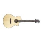Pscn01xcessma Breedlove Pursuit Concert Ce Guitar Natural Bag 875934008893