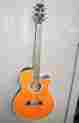 Pt-108 Takamine Acoustic Electric Guitar Made In Japan Torquoise Rosette Nice
