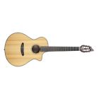 Pun31ce Breedlove Pursuit Concert Nylon Ce Cedar Classical Guitar 875934008886