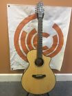 Pursuit12 Breedlove Pursuit Concert Acoustic-electric