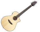Pursuit12string Breedlove Pursuit 12 String 875934006158
