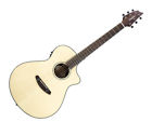 Pursuitconcerteb Breedlove Pursuit Concert Ebony 875934006196