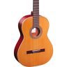 R200 Ortega Traditional Series Classical Guitar Satin Natural 840553060775