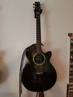 Rain Song Rainsong Pga Projection Series Acoustic Electric Guitar Hardshell