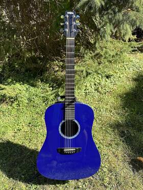 1100b Rainsong Dr Blue Carbon Graphite Acoustic Guitar One Of A Kind Very Rare