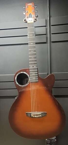 Co-w51005nst Rainsong Carbon Fiber Electric/acoustic Guitar