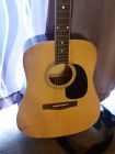 Rg-624 Rg624 Rogue Acoustic Guitar