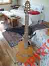 Rn6-h-standard Nylon String Model Hybrid Early Renaissance Rn6standard Turner Semi-hollow