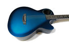 Rs-co-ws1005nsm Rainsong Rs