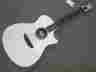 Rs1-le Rainsong Limited Edition W Ohsc White With Black Hardware Look