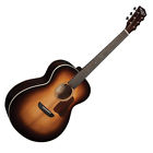 Rsg100swevsk-d Washburn Revival Series