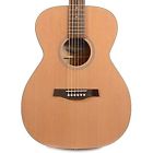 S6 Ced Ch Seagull Acoustic 623501040452