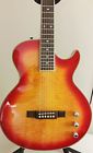 Sbf-80 Fcs Washburn Acoustic Electric