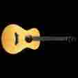 Sc20 W Breedlove All Solid Wood Acoustic-electric Guitar With Hardshell Case