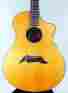Sc25 Concert Breedlove Custom Sitka Rosewood Acoustic Guitar With Case Nos
