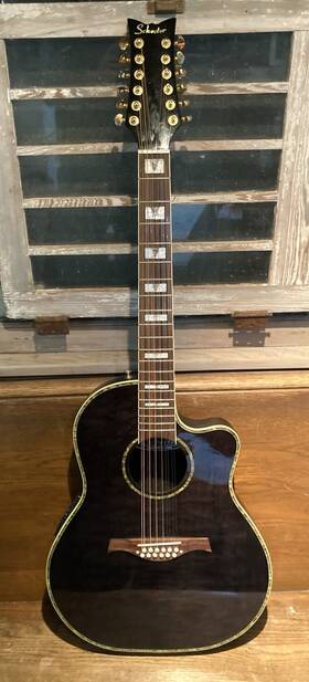 12str Schecter Diamond Series Acoustic Elec Guitar With Bag Case- Ex