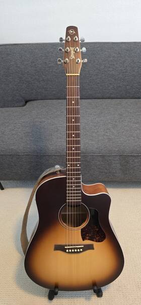 Seagull 046478001238 Entourage Autumn Burst Acoustic Electric A/e With Eq