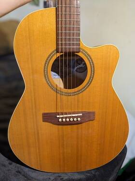 Ft05 Seagull 623501028382 Performer Cw Acoustic Electric With Quantum Eq Original Case