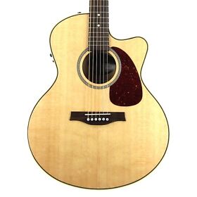 051960 Seagull Performer Cw Mini Jumbo Hg Fishman Presys Ii Gig Bag