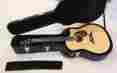 Series Sr-h Dreadnought Acoustic Breedlove Pro D25 Guitar