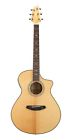 Sgcn01cessmy Breedlove Stage Exotic Concert 875934007940