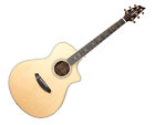 Sgcn01cessmy2 Breedlove Stage Exotic Concert Ce Bag Used 875934008633