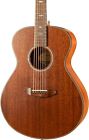 Sgcn01emama O Breedlove Stage Concert Ltd Guitar 875934009135