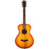 Sig-cncrtina-cppr-e Breedlove Signature Concertina Acoustic Electric Guitar Copper Burst 850007460518
