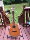 Sj-60ce Peavey Acoustic Guitar With Case