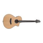 Slcn01cercir Breedlove Solo Concert Ce Red Indian Rosewood Guitar 875934008145