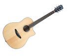 Sldr01cessir Breedlove Solo Dreadnought Ce Rosewood 875934008091