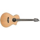 Sln32ce Breedlove Solo Concert Nylon 875934007971