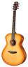 Sncn03eteam-jb Breedlove Jeff Bridges Signature Concert Copper Torrefied Acoustic 850014868444