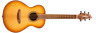Sncp03eteam Breedlove Signature Companion Copper Acoustic Electric Guitar Torrefied 850007460341