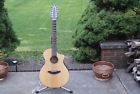 C350-sre-12 Solo Breedlove Atlas Series
