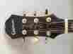 Sq-180 Neil Diamond Epiphone Signature Model Limited Edition Guitar