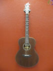 Stg Con Breedlove Stage Concert Baggs And Gigbag 875934008695