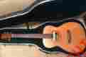 Sw00-db Sustainable Wood Machiche Martin Limited Edition Series Acoustic Guitar