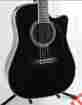 Sw341sc Steve Wariner Signature Series Takamine Dreadnought Acoustic Electric 100 New