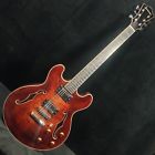 T185mx Eastman Archtop Jazz Semi Hollow Guitar