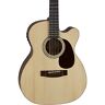 T313ce Mitchell Solid Spruce Top Auditorium Guitar 656238048088