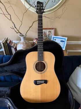 Dm14 Tacoma Acoustic/electric Guitar