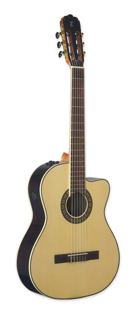 Tagima 810006055559 Ws 12 Eq-nt Nylon String - Natural