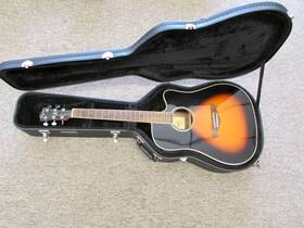 Ws20 Tagima Eq Acoustic Electric Guitar With Case