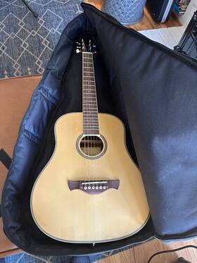 Ws40 Tagima Eq Guitar In Mint Condition