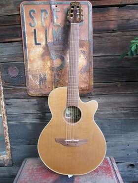 Ean30c Takamine Acoustic Electric Guitar Steel String Classical Size Neck