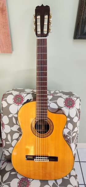 Ec-28c Takamine Jasmine Korea Rosewood Classical Acoustic Electric